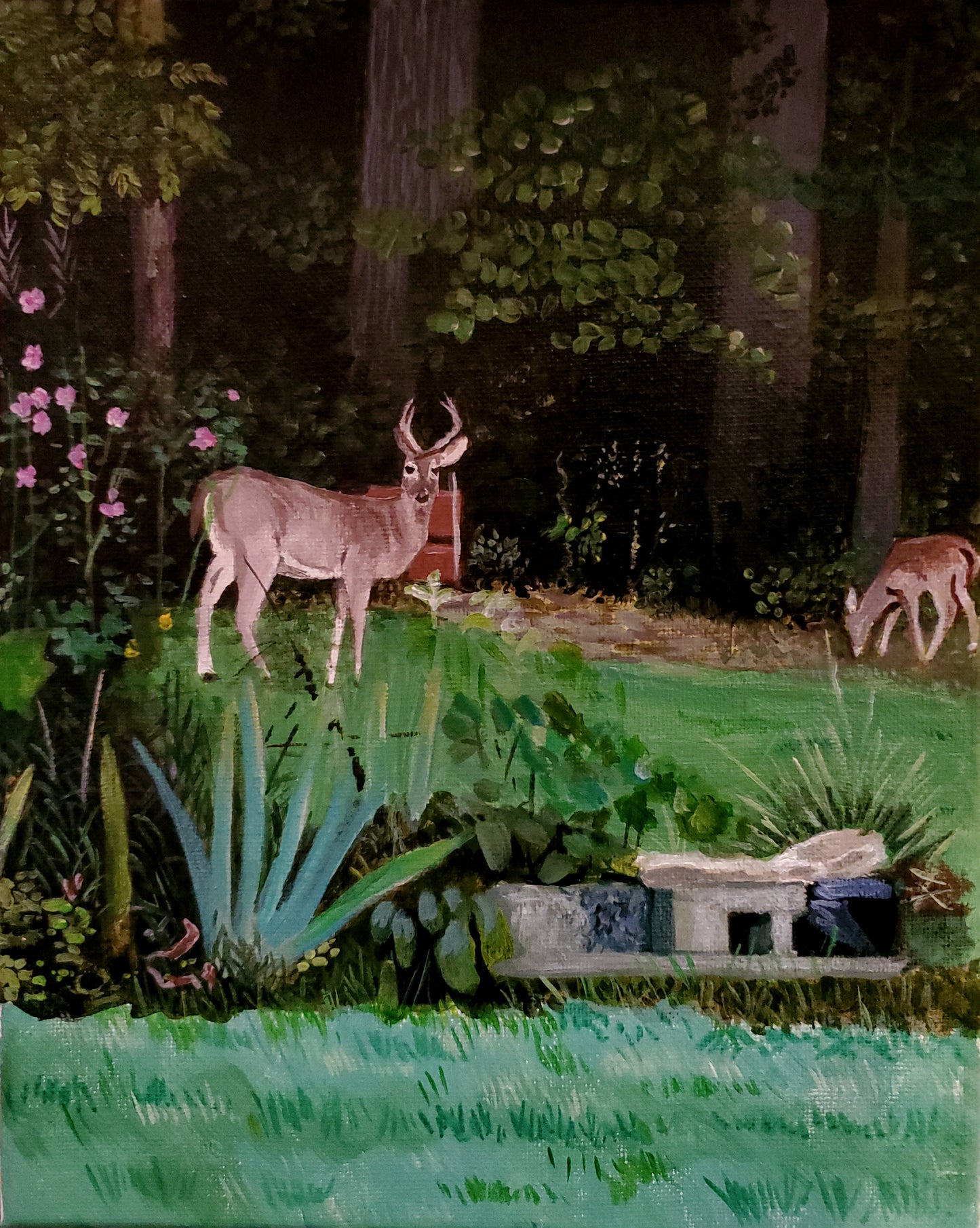 Oh look. It's a Deer