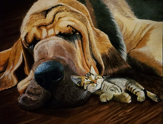 Nap Time
