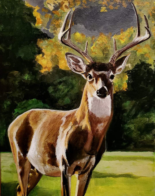 Big buck